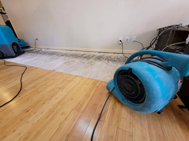 Professional Water Removal technician working in Alviso, CA